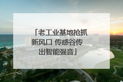 老工业基地抢抓新风口 传感谷传出智能强音